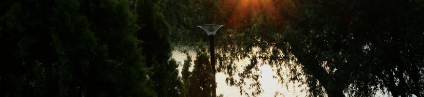 another-dawn-1
