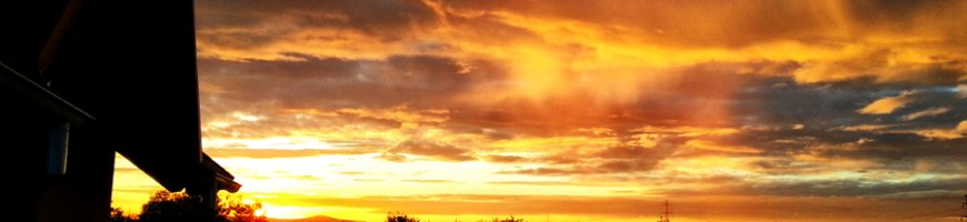 tequila-sunrise