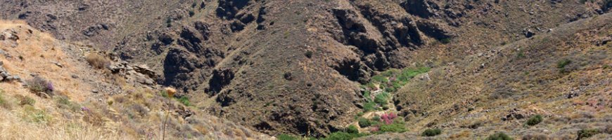 richtis-gorge-1039ew