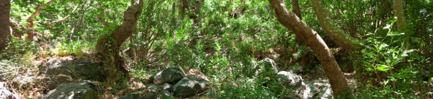 richtis-gorge-1127ew