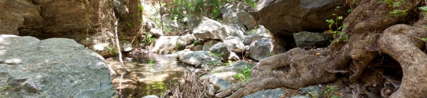 richtis-gorge-1177ew