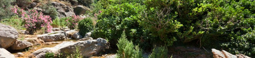 richtis-gorge-1285ew