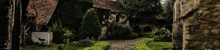 vechi
