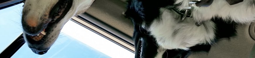 20130615ew