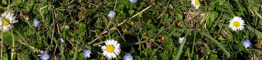 img_1439lr