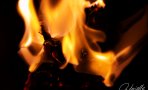 2-foc-jpg