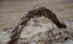 img_2276