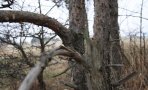 img_2280