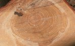p2130022