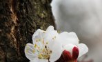 img_2733