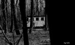 img_26711