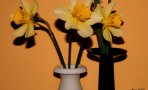 img_26888