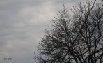 img_90122