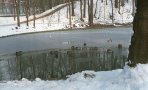 img027