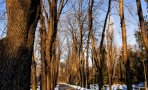 img_9411